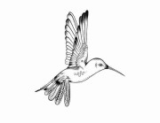 51漫画折页：独特排版吸睛秘诀